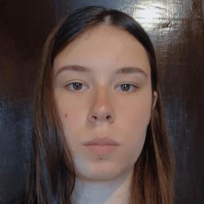 Babysitter in Ponta Grossa: Allany