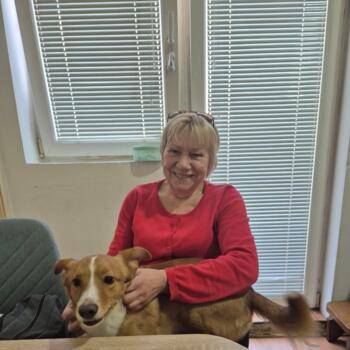 Bebisiterka Beograd: Beba