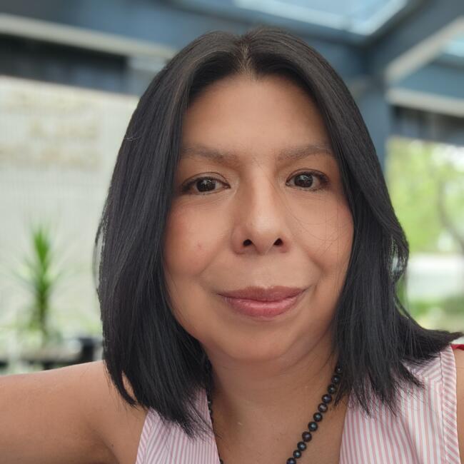 Δουλειά για babysitter στην περιοχή Πόλη του Μεξικού: Ana Lilia Cruz