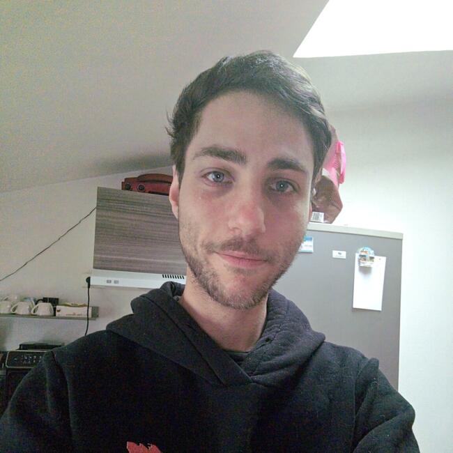 Babysitter in Neuville-sur-Saône: Alexandre