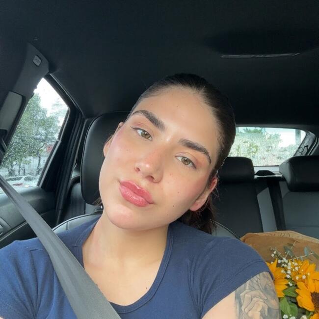 Babysitting job in Novo Hamburgo: Emilly Mariah