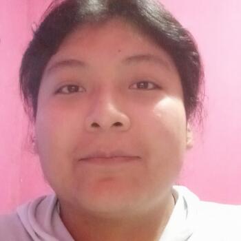 Babysitter in Campana: Erica