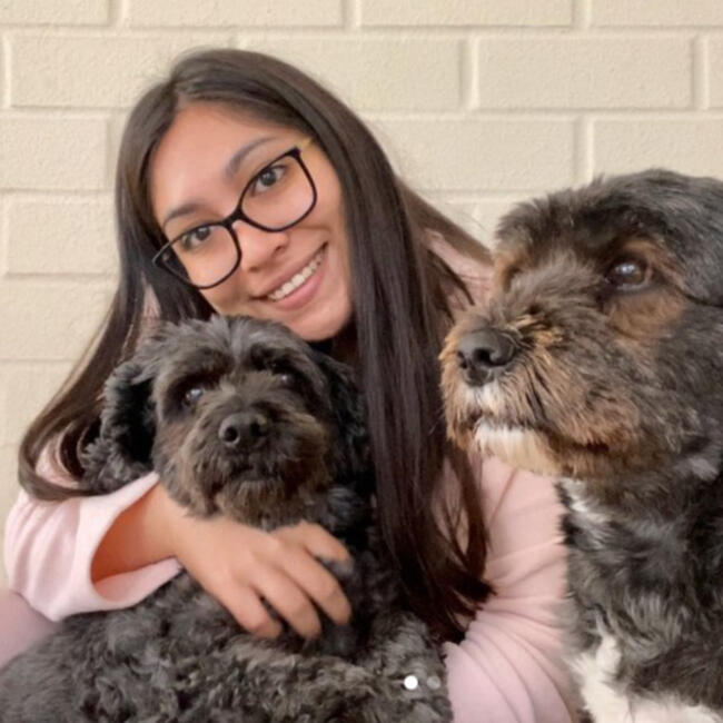 Babysitter στην περιοχή Κοπιαπό: Javiera Paz Díaz Palacios