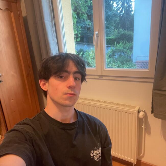 Babysitter in Lyon: Jacques