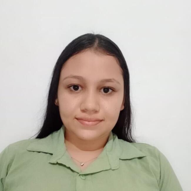 Babysitter in Bucaramanga: Deisy