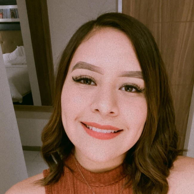 Babysitting job in Torreón: Aidee Reyes