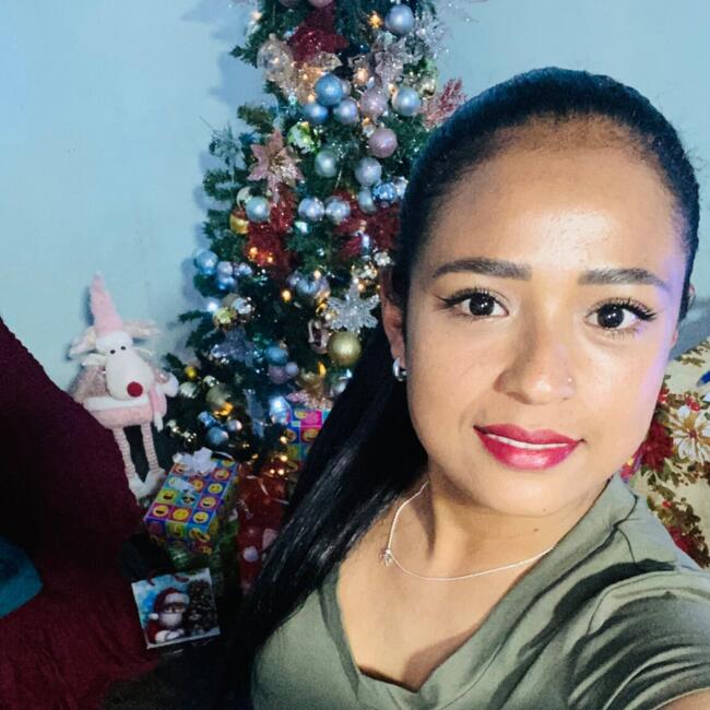 Babysitting job in Antofagasta: Brigitte lizeth