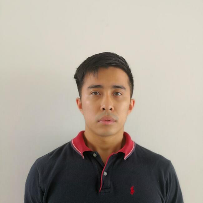 Babysitting job in Singapore Island: Bowen