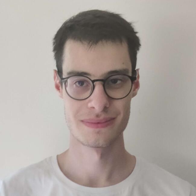 Babysitter in Lyon: Armand