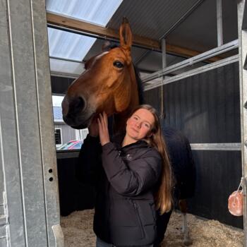 Babysitter Lembeke: Sam