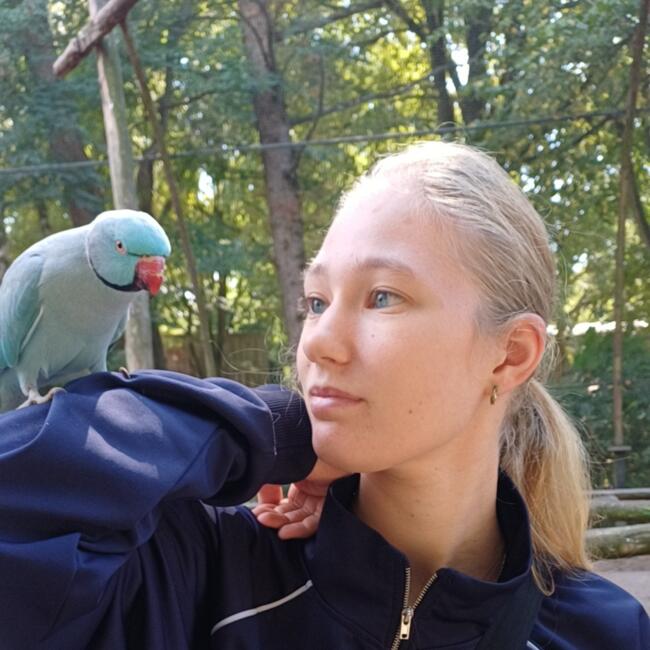 Babysitter in America: Rachel