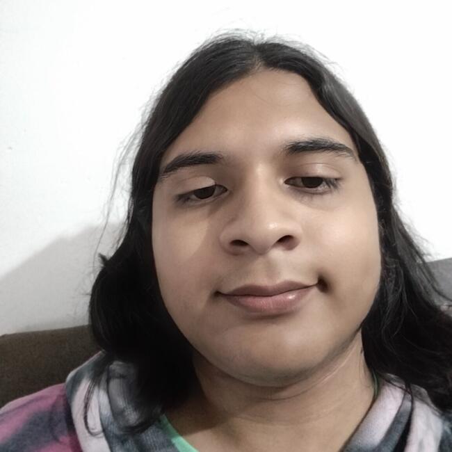 Babysitter in Gustavo Adolfo Madero: Erick lael