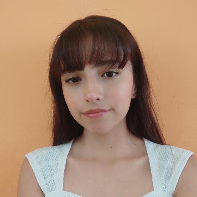 Babysitter in Sangolquí: Sara