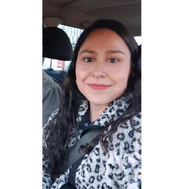 Babysitter in Temuco: Kari