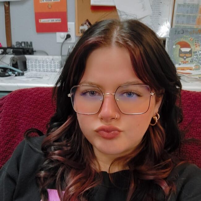 Nanny in Lee's Summit: Aras