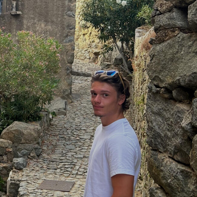 Babysitter in Oullins: Paul