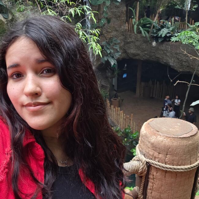 Niñera en Toa Baja: Jonalis