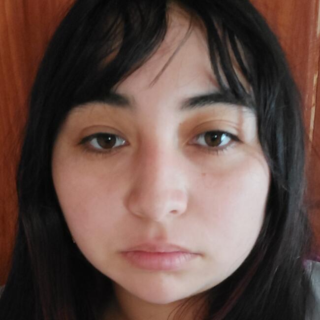 Babysitter in Talcahuano: Javi