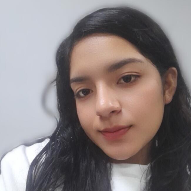Babysitter in Chiclayo: Lesly