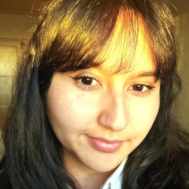 Babysitter in Viña del Mar: Catalina Fernández