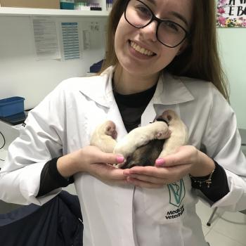 Babá São José (São José): Julia