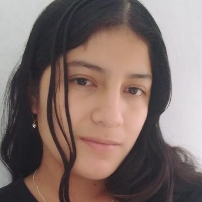Niñera en San Martín de Porres (Departamento de Lima): Elizabeth