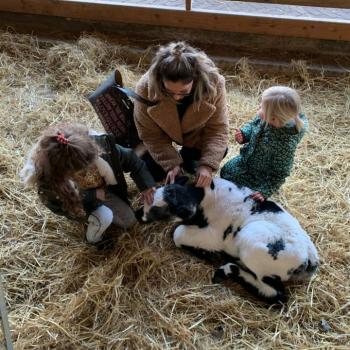 Babysitter Hillegom: Sgvfly