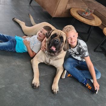 Babysitter Job in Geleen: Babysitter Job Chenna