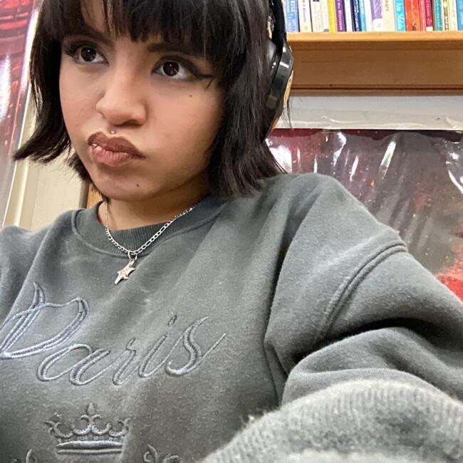 Babysitter in Grand Prairie: Sofi