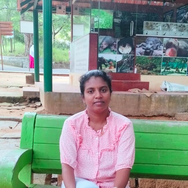 Babysitting job in Bengaluru: Ramya