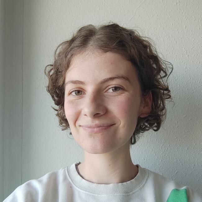 Babysitter in Toulouse: Roxane