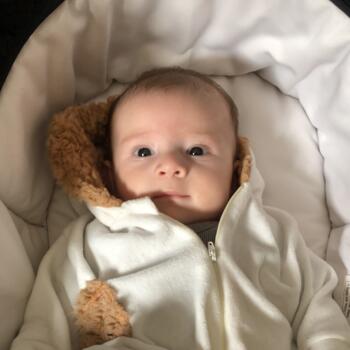 Emprego de babá em Ribeirão Preto: emprego de babá Felipe