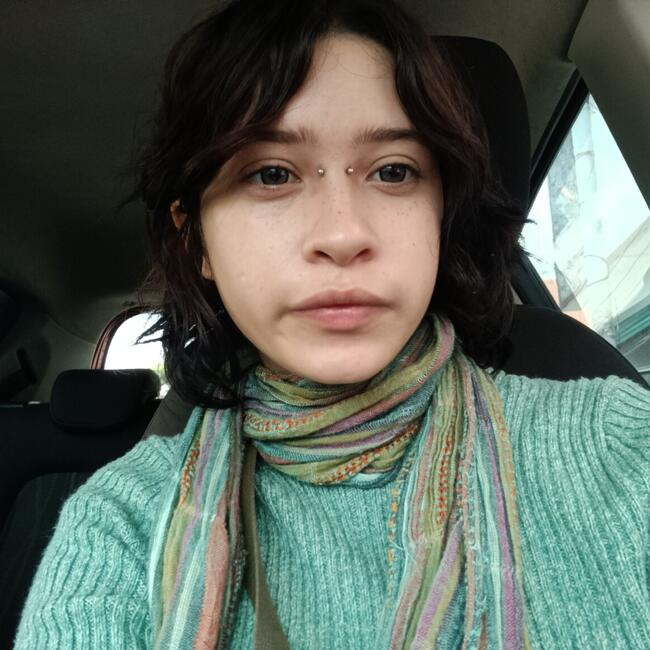 Babysitter in Mérida: Taro Giada