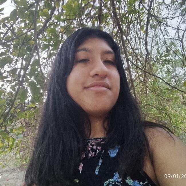 Babysitter in Coquimbo: Javiera