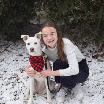 Babysitter Lake Forest (Illinois): Julia
