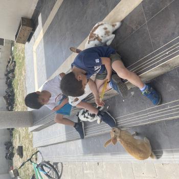Trabajo de canguro en Dílar: trabajo de canguro Ana