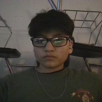 Babysitting job in Houston: babysitting job Rovin