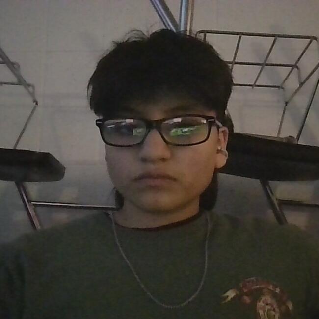 Babysitting job in Houston: Rovin