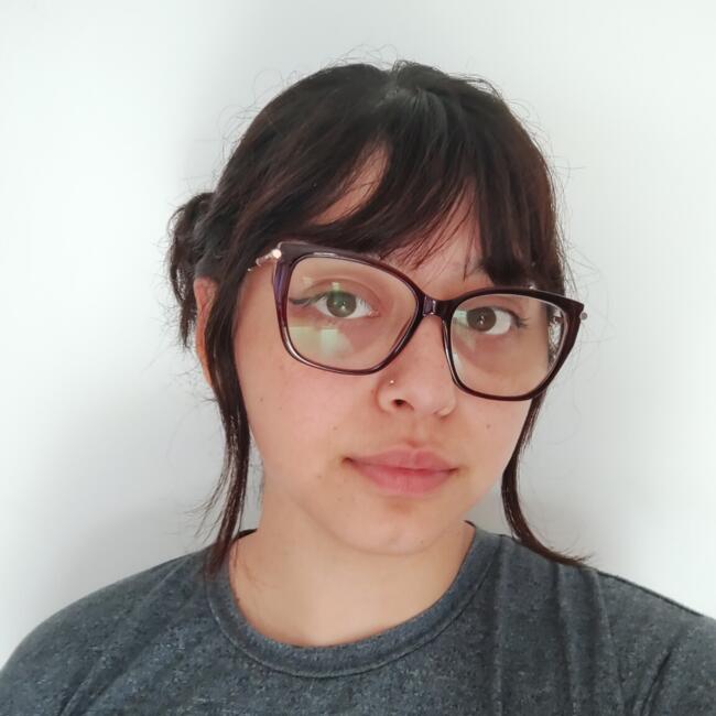 Babysitter in Mar del Plata: Ludmila