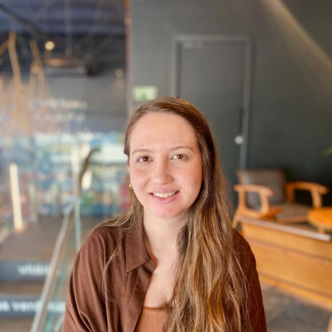 Babysitting job in Curitiba: Gisele