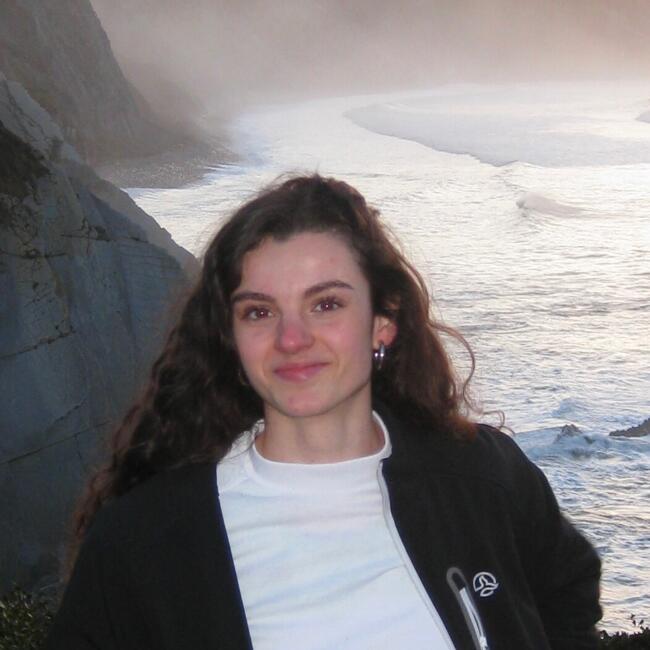 Niñera en Vitoria: Saray