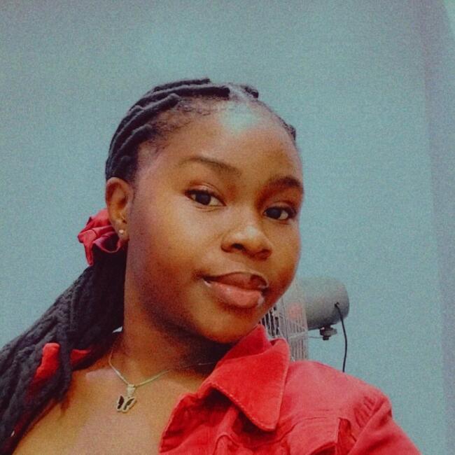 Babysitter in Abuja: Chibugo