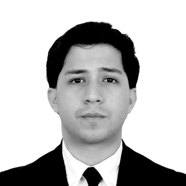 Babysitter in San Nicolás de los Garza: Fernando Iván