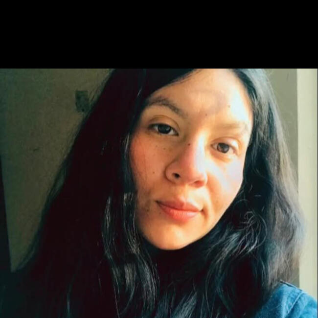 Niñera en San Pedro Garza García: Erandi