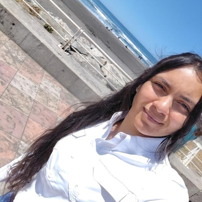 Babysitting job in Curicó: Dari