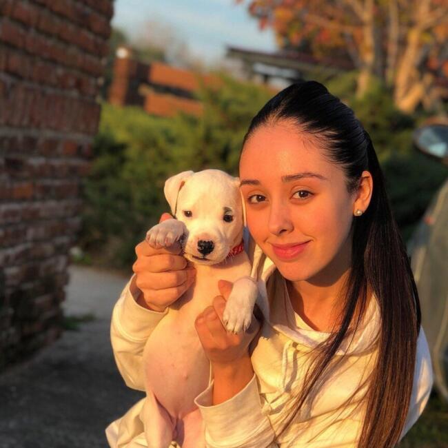 Babysitter in Montevideo: Ludmila