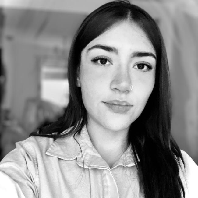 Babysitting job in Metepec: Mónica