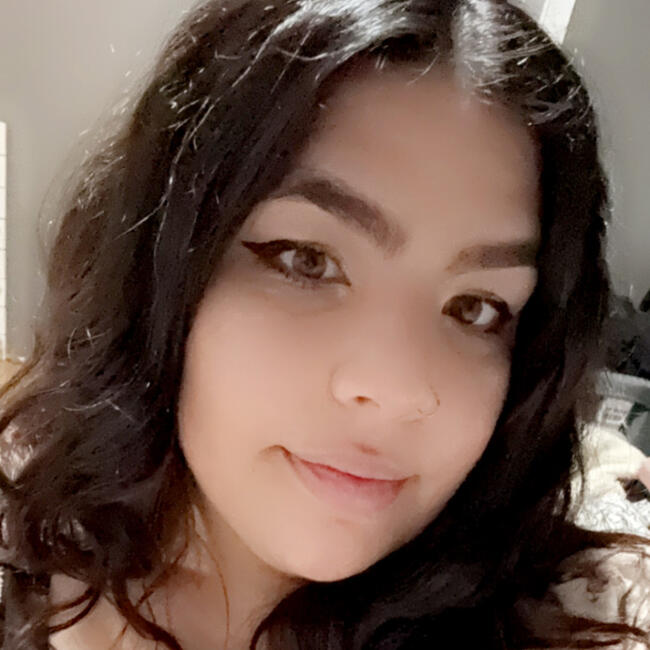 Nanny in Crown Point: Zahra