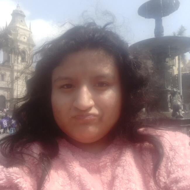 Niñera en Comas (Departamento de Lima): Maysa