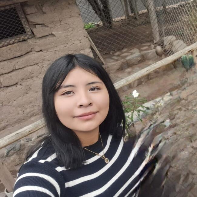 Niñera en Carabayllo: Rosmery Portella